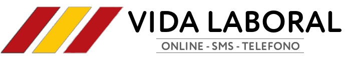 Vida Laboral
